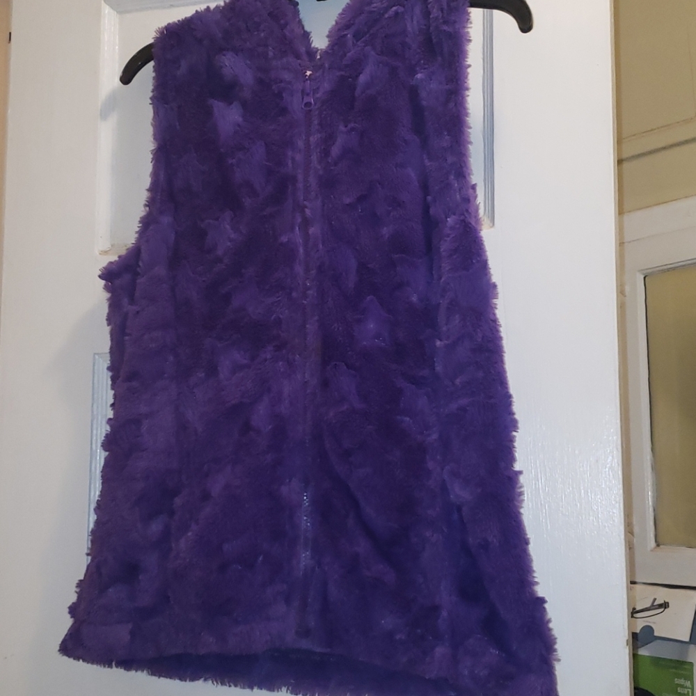 Hooded vest